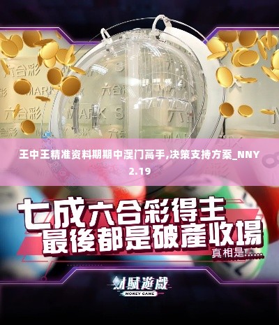 王中王精准资料期期中澳门高手,决策支持方案_NNY2.19