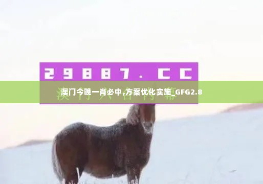 澳门今晚一肖必中,方案优化实施_GFG2.8