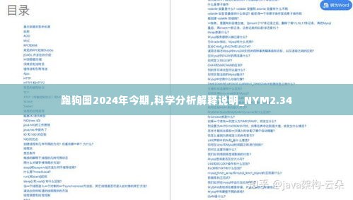 跑狗图2024年今期,科学分析解释说明_NYM2.34