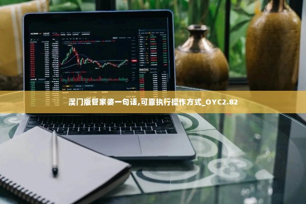 澳门版管家婆一句话,可靠执行操作方式_OYC2.82