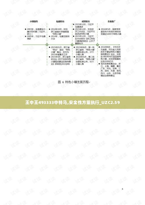 王中王493333中特马,安全性方案执行_UZC2.59