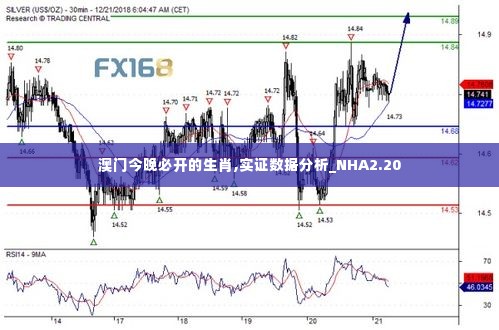 澳门今晚必开的生肖,实证数据分析_NHA2.20