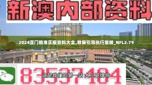 2024澳门精准正版资料大全,数据引导执行策略_NFL2.79