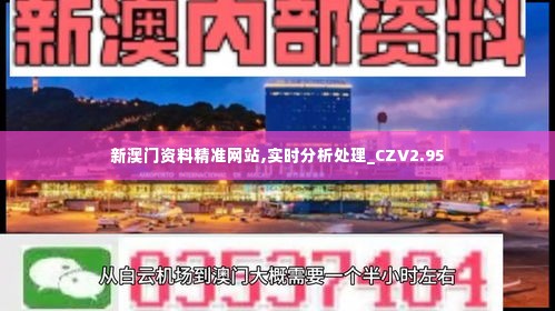 新澳门资料精准网站,实时分析处理_CZV2.95