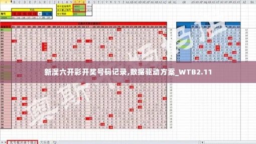 新澳六开彩开奖号码记录,数据驱动方案_WTB2.11