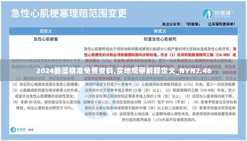 2024新澳精准免费资料,实地观察解释定义_NYN2.46