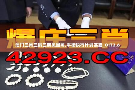 澳门三肖三码三期凤凰网,平衡执行计划实施_OIT2.6