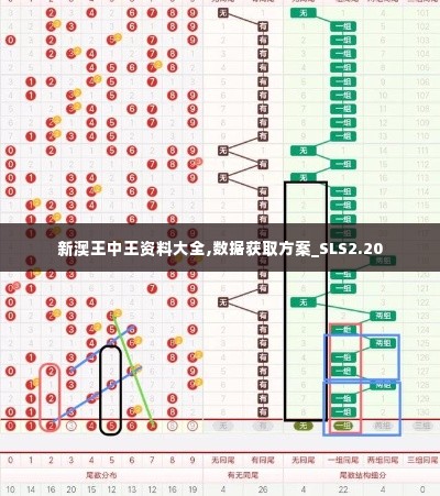 新澳王中王资料大全,数据获取方案_SLS2.20