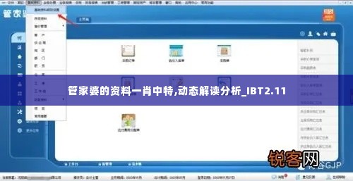 管家婆的资料一肖中特,动态解读分析_IBT2.11