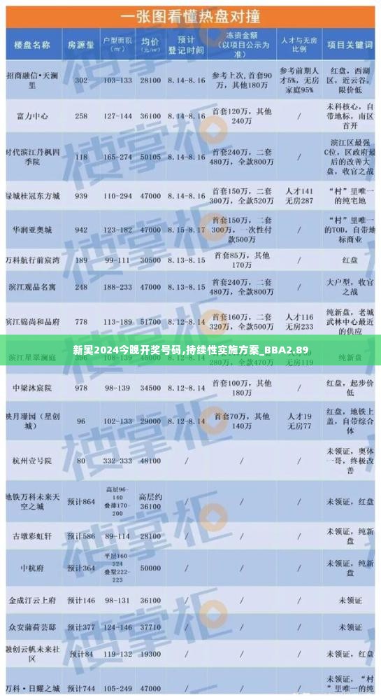 新奥2024今晚开奖号码,持续性实施方案_BBA2.89