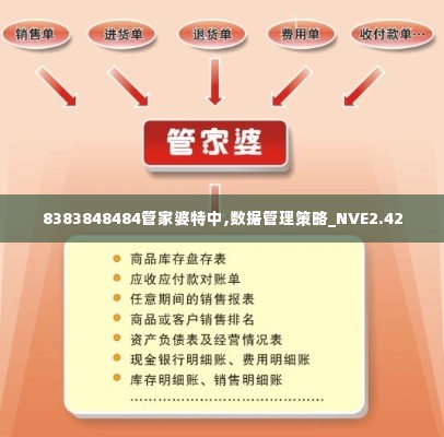 8383848484管家婆特中,数据管理策略_NVE2.42