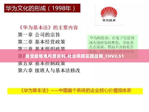 新奥最精准内部资料,社会承担实践战略_CHV2.51