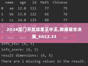 2O24澳门开奖结果王中王,数据整合决策_SGC2.33