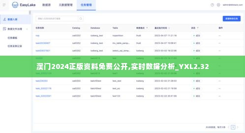 澳门2024正版资料免费公开,实时数据分析_YXL2.32