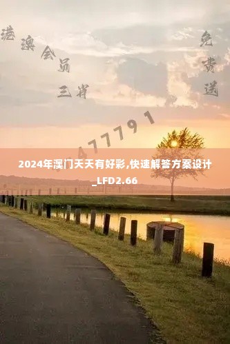 2024年澳门天天有好彩,快速解答方案设计_LFD2.66