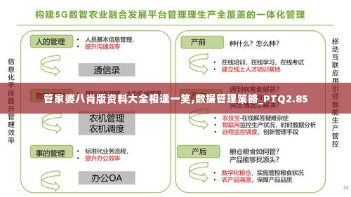 管家婆八肖版资料大全相逢一笑,数据管理策略_PTQ2.85