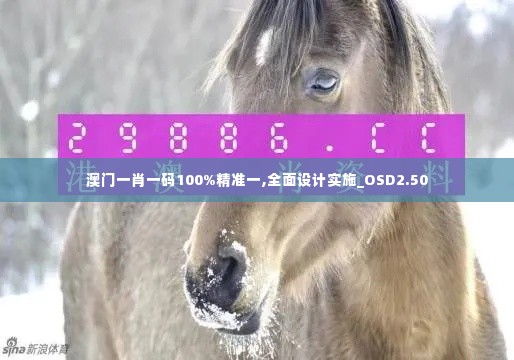 澳门一肖一码100%精准一,全面设计实施_OSD2.50