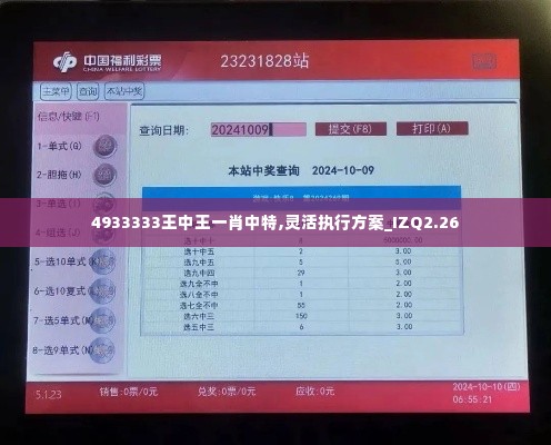 4933333王中王一肖中特,灵活执行方案_IZQ2.26