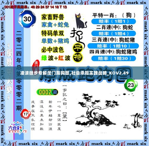 凌波微步专解澳门跑狗图,社会承担实践战略_KOV2.49