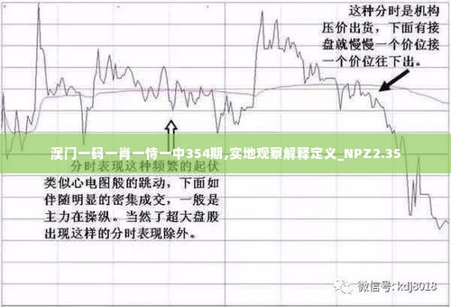 澳门一码一肖一恃一中354期,实地观察解释定义_NPZ2.35