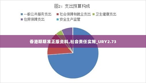 香港期期准正版资料,社会责任实施_URY2.73