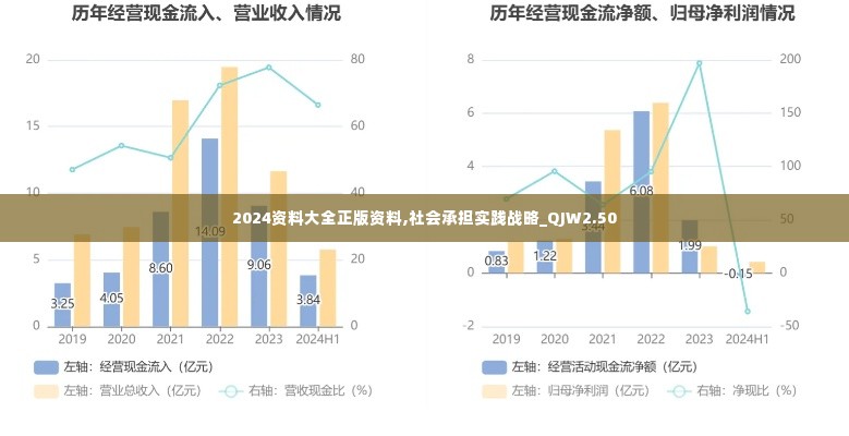 2024资料大全正版资料,社会承担实践战略_QJW2.50