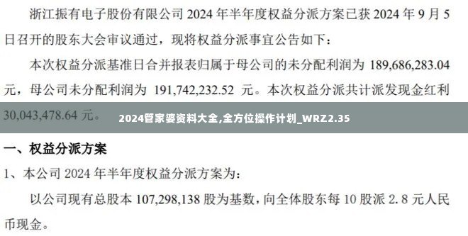 2024管家婆资料大全,全方位操作计划_WRZ2.35