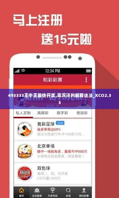 493333王中王最快开奖,现况评判解释说法_XCO2.33