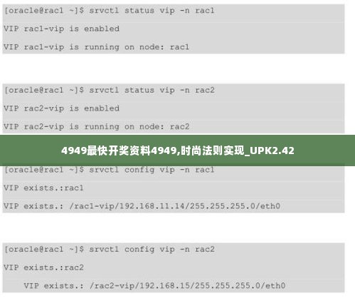 4949最快开奖资料4949,时尚法则实现_UPK2.42