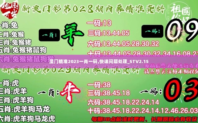 澳门精准2023一肖一码,快速问题处理_STV2.15