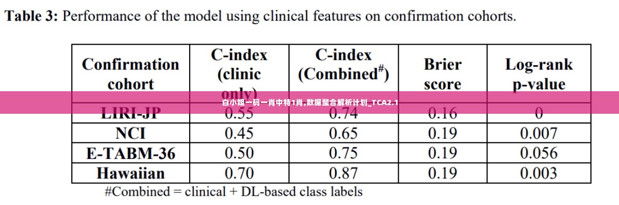 白小姐一码一肖中特1肖,数据整合解析计划_TCA2.1