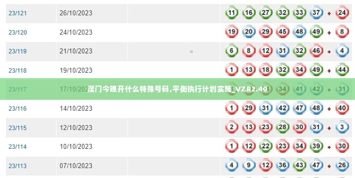 澳门今晚开什么特殊号码,平衡执行计划实施_VZR2.40