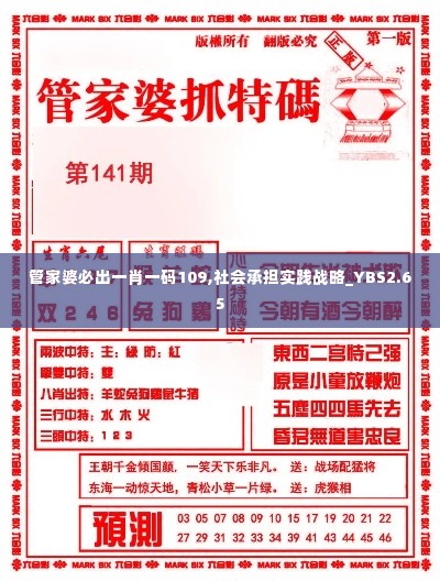 管家婆必出一肖一码109,社会承担实践战略_YBS2.65