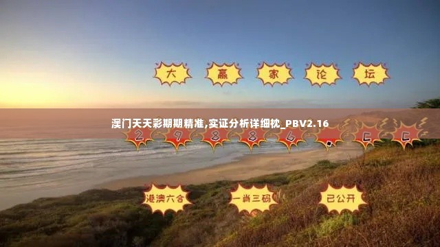 澳门天天彩期期精准,实证分析详细枕_PBV2.16