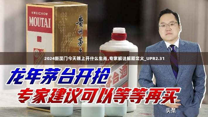 2024新澳门今天晚上开什么生肖,专家解说解释定义_UPR2.31