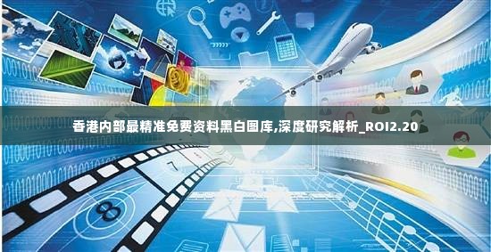 香港内部最精准免费资料黑白图库,深度研究解析_ROI2.20