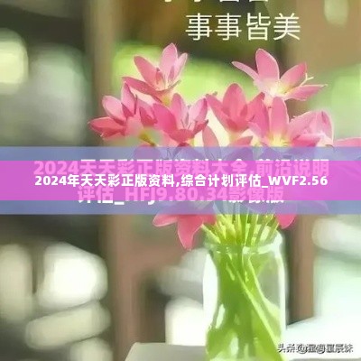 2024年天天彩正版资料,综合计划评估_WVF2.56