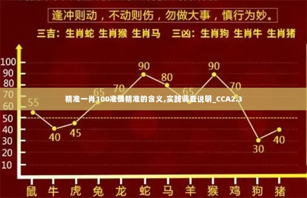 精准一肖100准确精准的含义,实践调查说明_CCA2.3