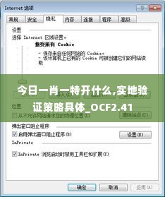 今日一肖一特开什么,实地验证策略具体_OCF2.41