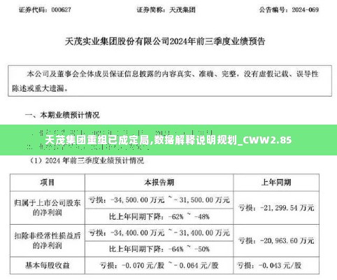 天茂集团重组已成定局,数据解释说明规划_CWW2.85