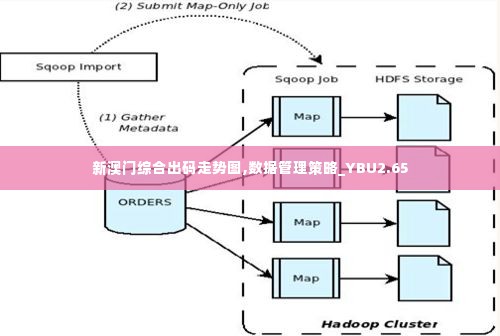 新澳门综合出码走势图,数据管理策略_YBU2.65