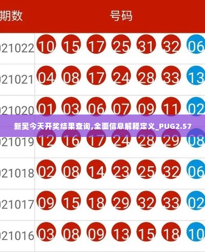 新奥今天开奖结果查询,全面信息解释定义_PUG2.57