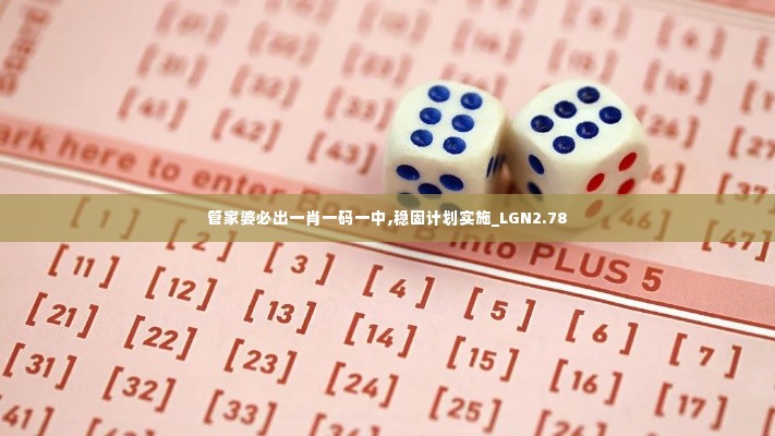 管家婆必出一肖一码一中,稳固计划实施_LGN2.78