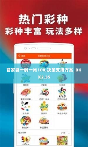 管家婆一码一肖100,决策支持方案_BKX2.35