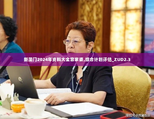 新澳门2024年资料大全宫家婆,综合计划评估_ZUD2.3