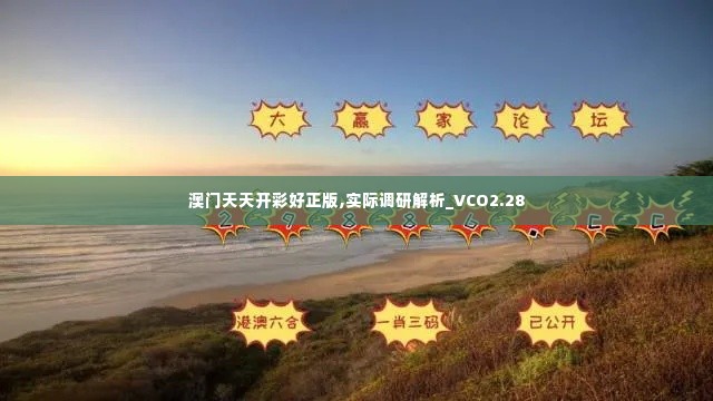 澳门天天开彩好正版,实际调研解析_VCO2.28