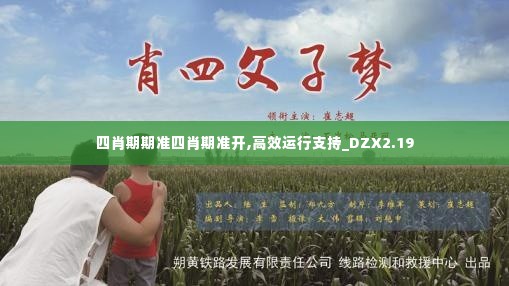 四肖期期准四肖期准开,高效运行支持_DZX2.19