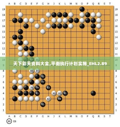 天下彩天资料大全,平衡执行计划实施_EHL2.89