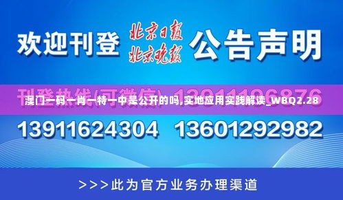 澳门一码一肖一特一中是公开的吗,实地应用实践解读_WBQ2.28