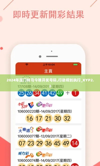 2024年澳门特马今晚开奖号码,行动规划执行_XYP2.3